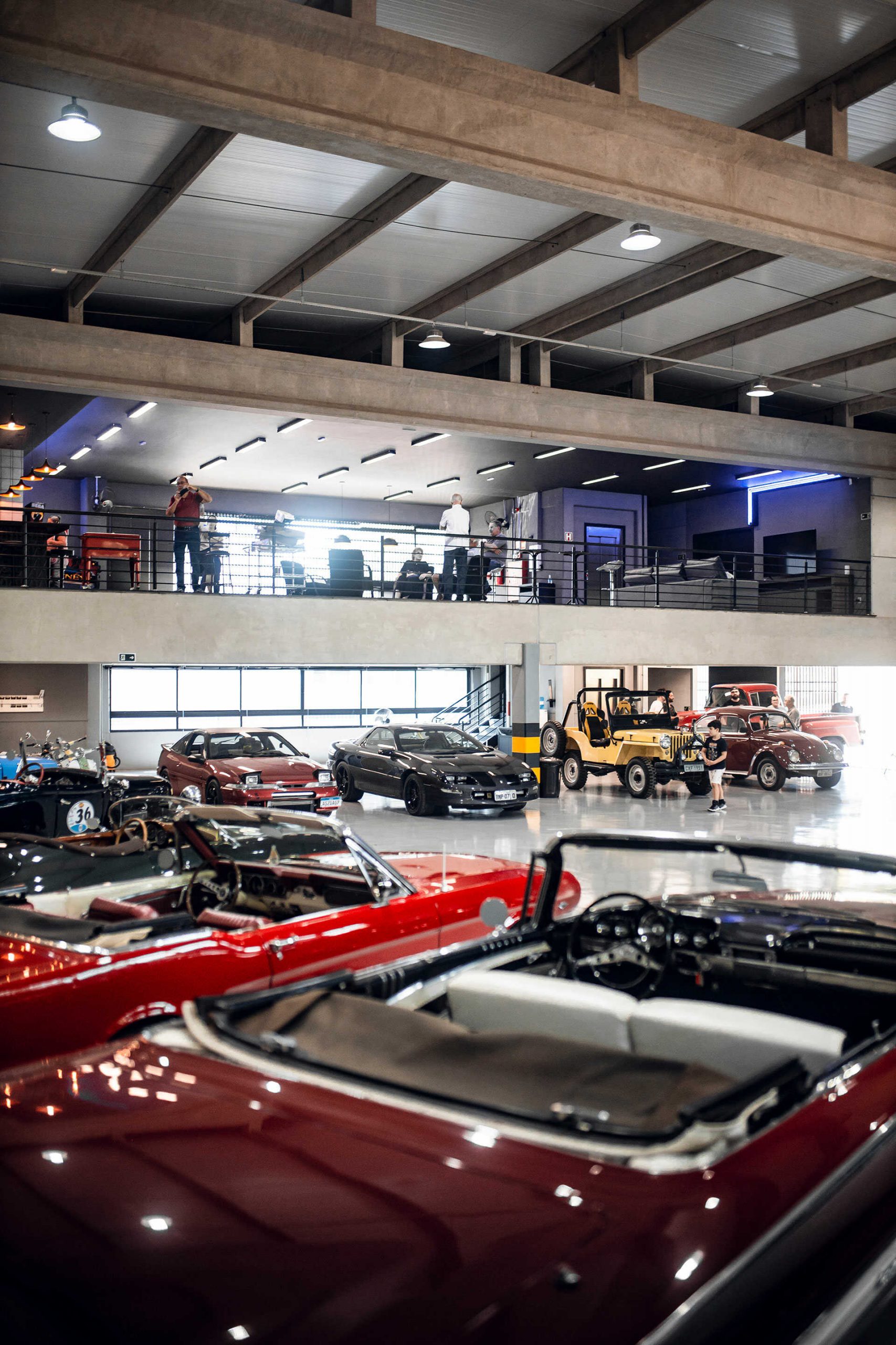 Dare Classic Collection